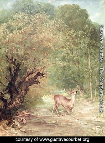Gustave Courbet - The Hunted Roe-Deer on the alert, Spring, 1867