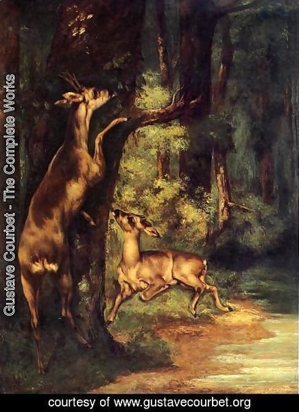 Gustave Courbet - Male and Female Deer in the Woods
