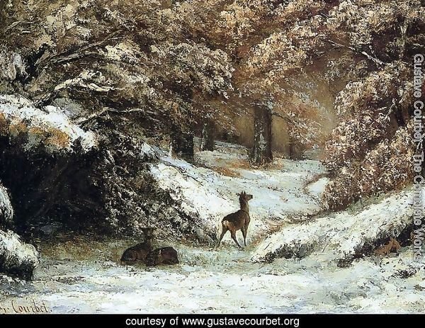 Deer Taking Shelter in Winter