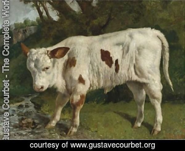 Gustave Courbet - Le Veau Blanc