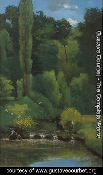 Gustave Courbet - Ruisseau Dans La Foret