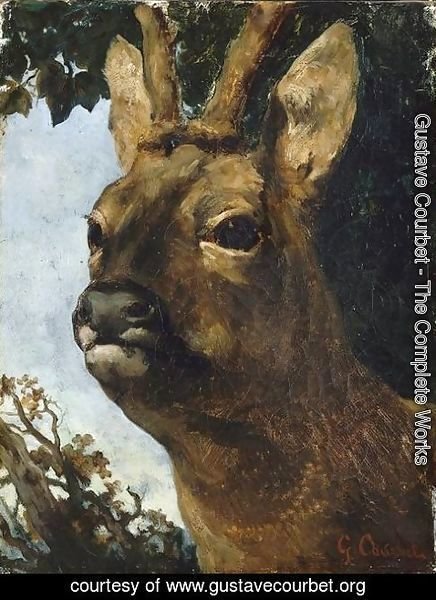 Gustave Courbet - Head of a Young Doe