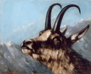 Gustave Courbet - Head of Gazelle