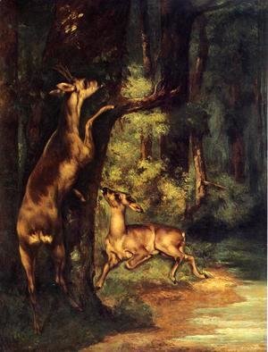 Gustave Courbet - Male and Female Deer in the Woods