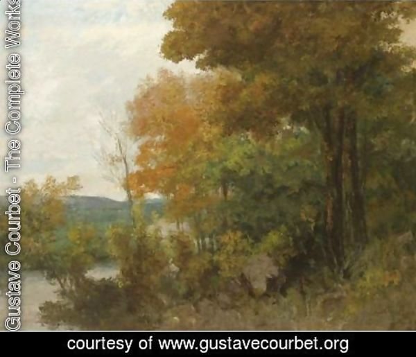 Gustave Courbet - Lisiere De Foret 2